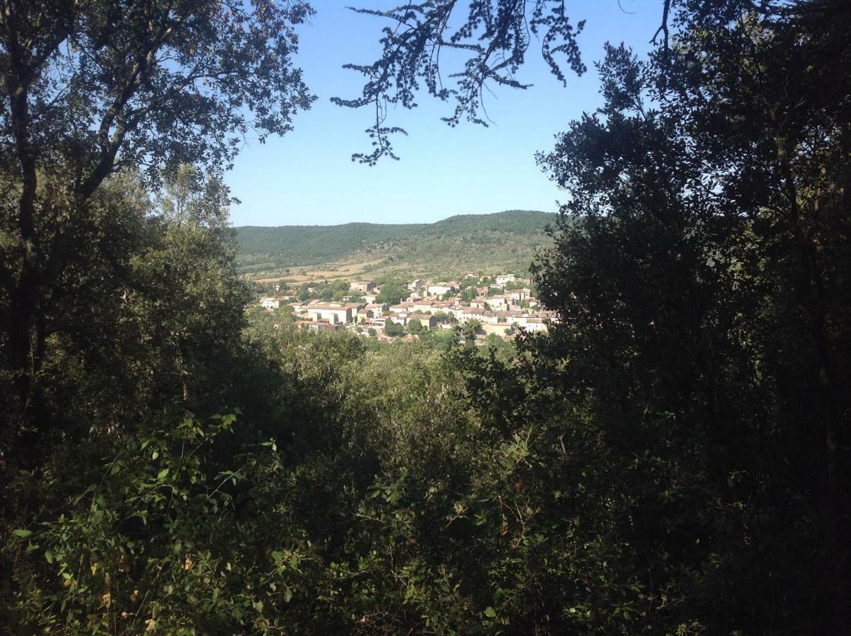 Au Mas Des Graviers Bed & Breakfast Salavas Dış mekan fotoğraf